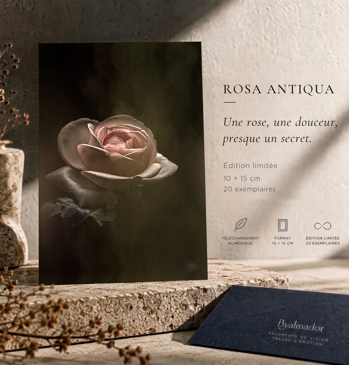 La carte ROSA ANTIQUA mise en situation